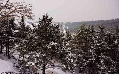 Snow-&-Scenery_004