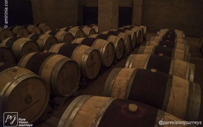 Russiz Superiore wine cellar_0012