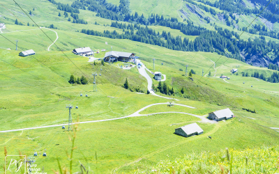 Grindelwald-to-First_0057