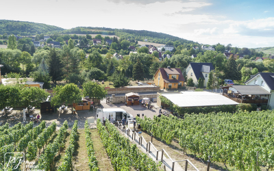 Ducal vineyard, Freyburg _0010